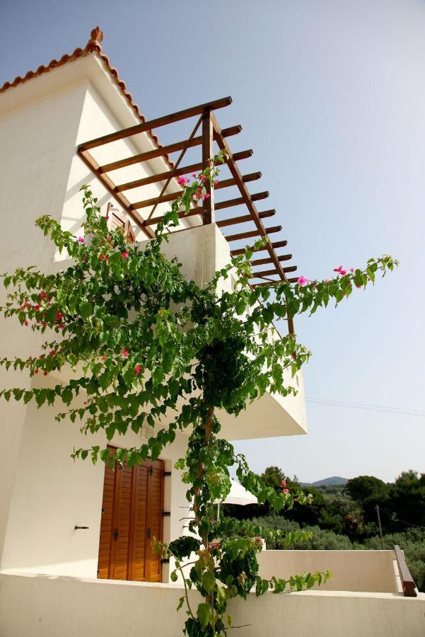 Skopelos Summer Homes ภายนอก รูปภาพ